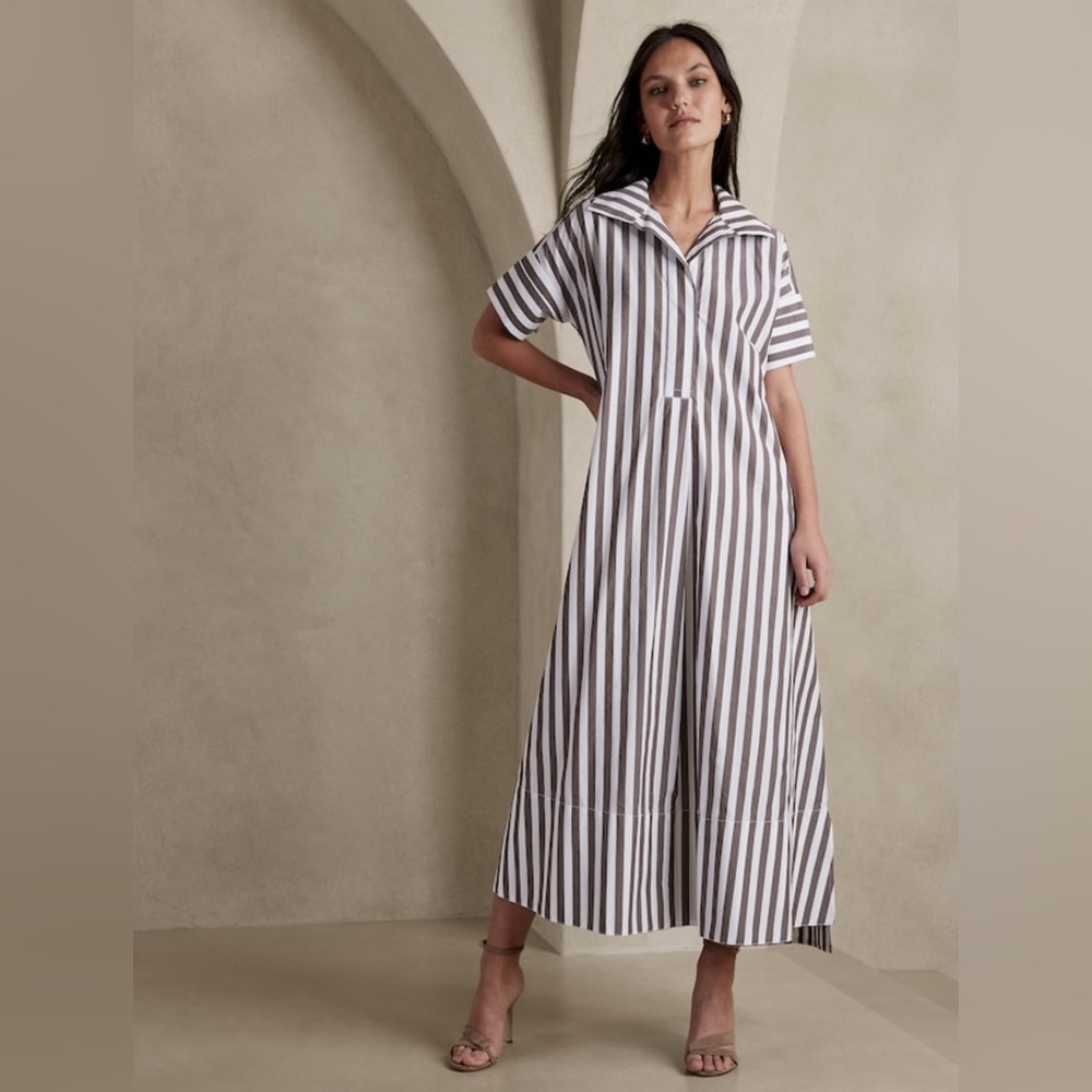 Banana Republic Striped Maxi Dress - White and Brown